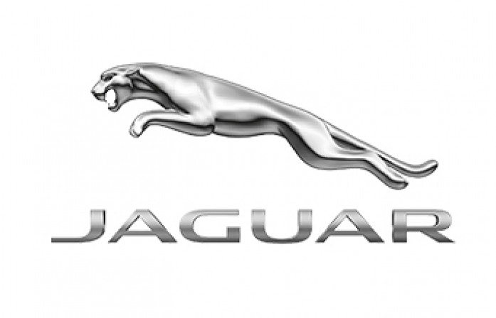 Jaguar Oto Cam Gruplar